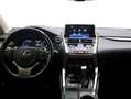 Lexus NX 300 300h Premium 2WD Blanco - thumbnail 8