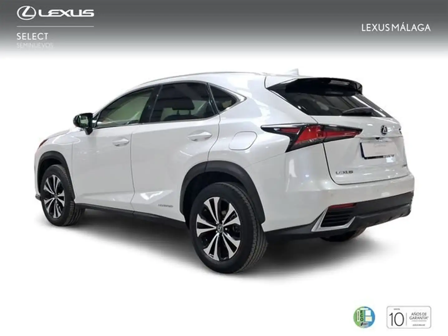 Lexus NX 300 300h Premium 2WD Blanco - 2