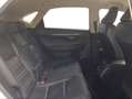 Lexus NX 300 300h Premium 2WD Blanco - thumbnail 7