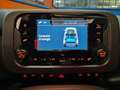 Fiat Panda 1.0 Hybrid 70cv Radio Bluetooth 36 Rate da 177,95 Blu/Azzurro - thumbnail 13