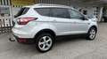 Ford Kuga 2,0 TDCi Titanium Aut. AWD, ARBÖ Kauftest + Pic... Grau - thumbnail 6