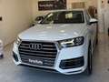 Audi Q7 3.0 tdi quattro tiptronic TETTO APRIBILE,VIRTUAL Bianco - thumbnail 5