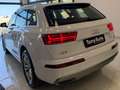 Audi Q7 3.0 tdi quattro tiptronic TETTO APRIBILE,VIRTUAL Bianco - thumbnail 12