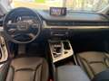 Audi Q7 3.0 tdi quattro tiptronic TETTO APRIBILE,VIRTUAL Bianco - thumbnail 23