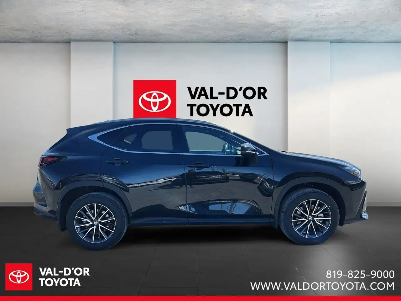 Lexus NX снимка Lexus NX