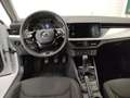 Skoda Kamiq Kamiq 1.0 TSI Ambition Bianco - thumbnail 12