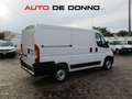 Fiat Ducato 2.3 M-JET 120CV L1H1 PASSO CORTO Bianco - thumbnail 3