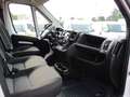 Fiat Ducato 2.3 M-JET 120CV L1H1 PASSO CORTO Bianco - thumbnail 8