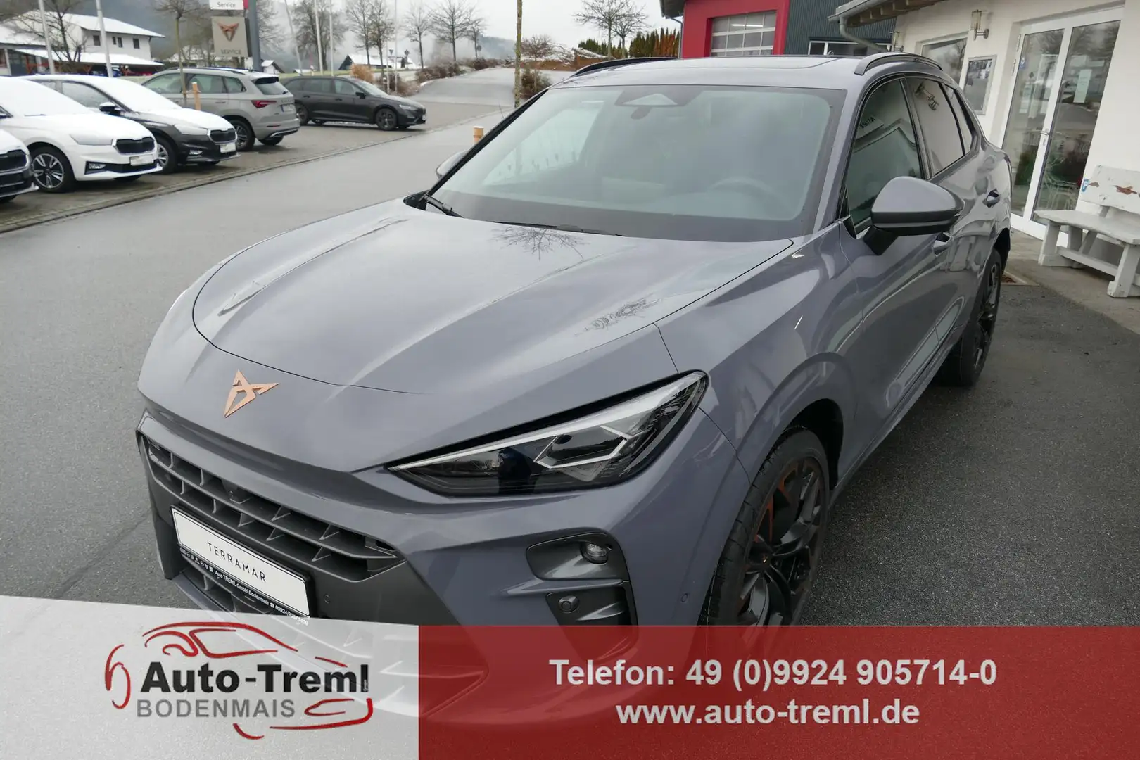 CUPRA Terramar VZ 2.0 TSI 265 PS DSG 4Drive AHK Pano 20"Hadron... Gris - 1