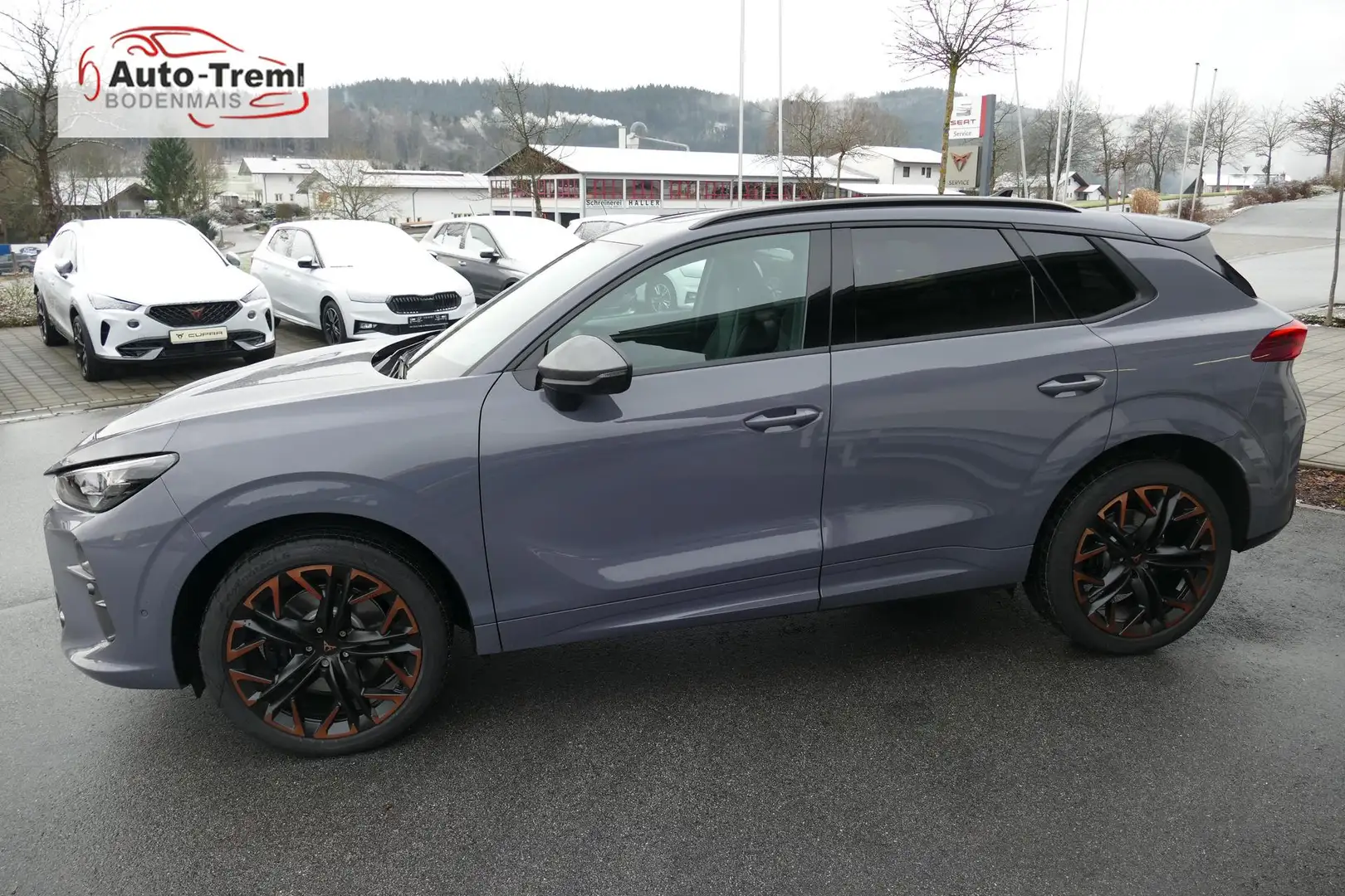 CUPRA Terramar VZ 2.0 TSI 265 PS DSG 4Drive AHK Pano 20"Hadron... Gris - 2