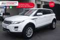 Land Rover Range Rover Evoque Range Rover Evoque 2.2 TD4 5p. Dynamic Blanc - thumbnail 11