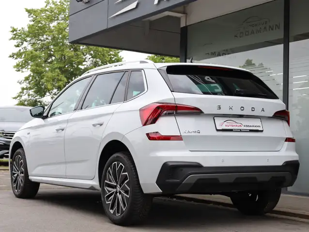 Skoda Kamiq view 8