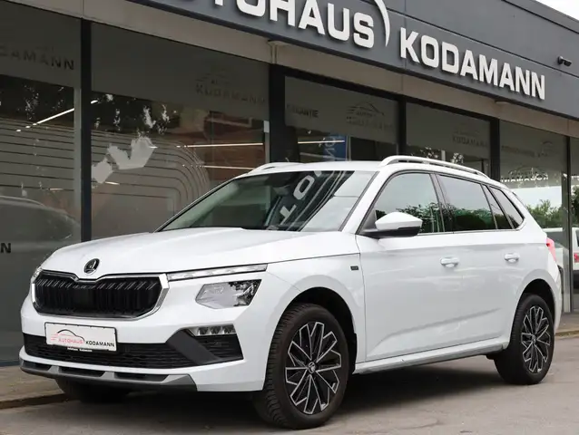 Skoda Kamiq view 6