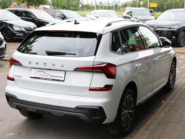 Skoda Kamiq view 10