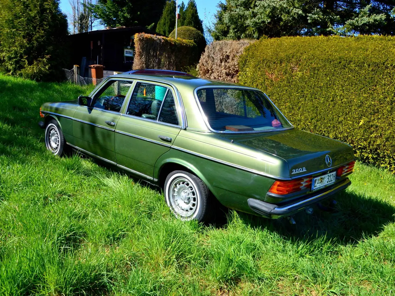 Mercedes-Benz 300 W123 300D, foto 8