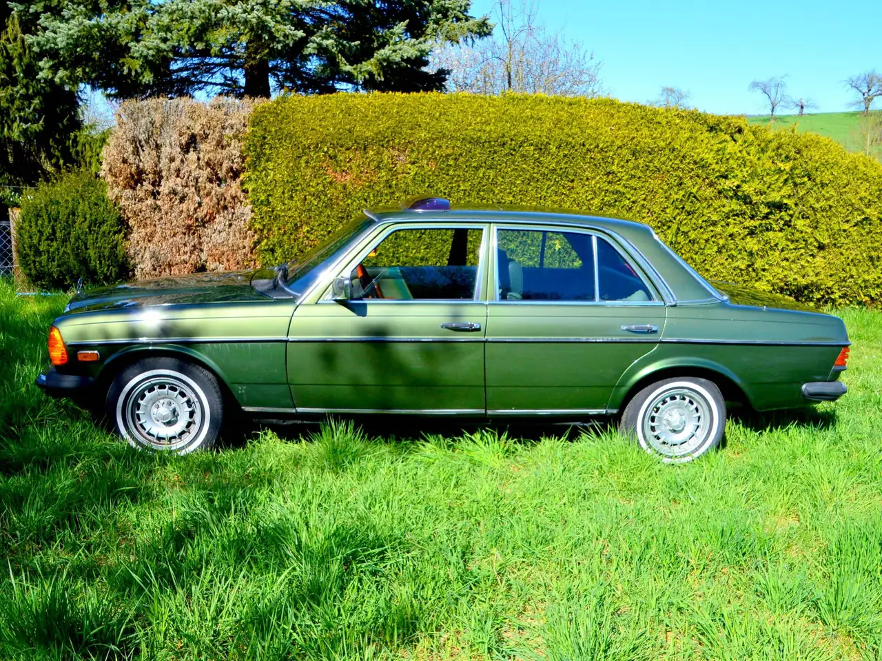Mercedes-Benz 300 W123 300D, foto 7