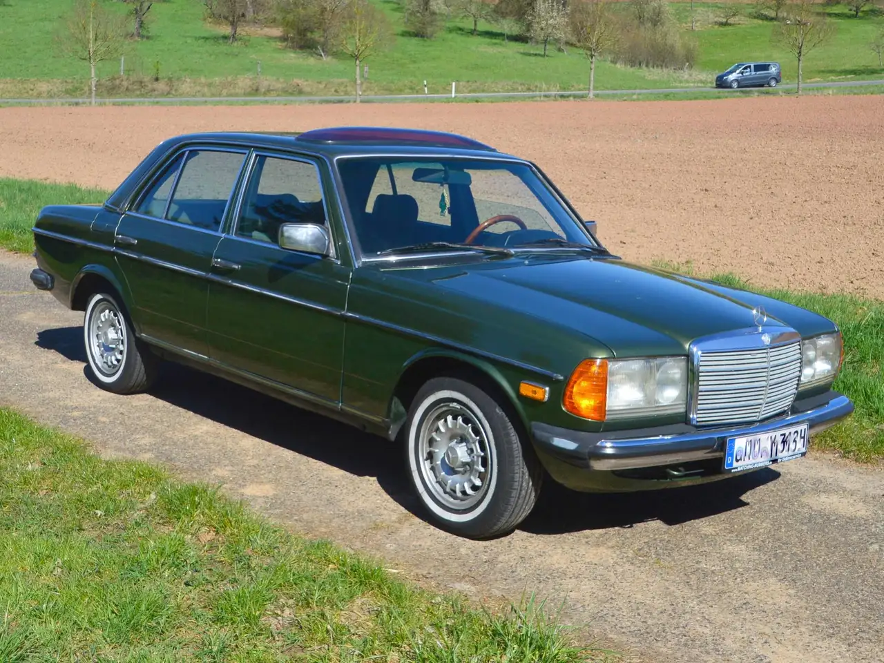 Mercedes-Benz 300 W123 300D, foto 3