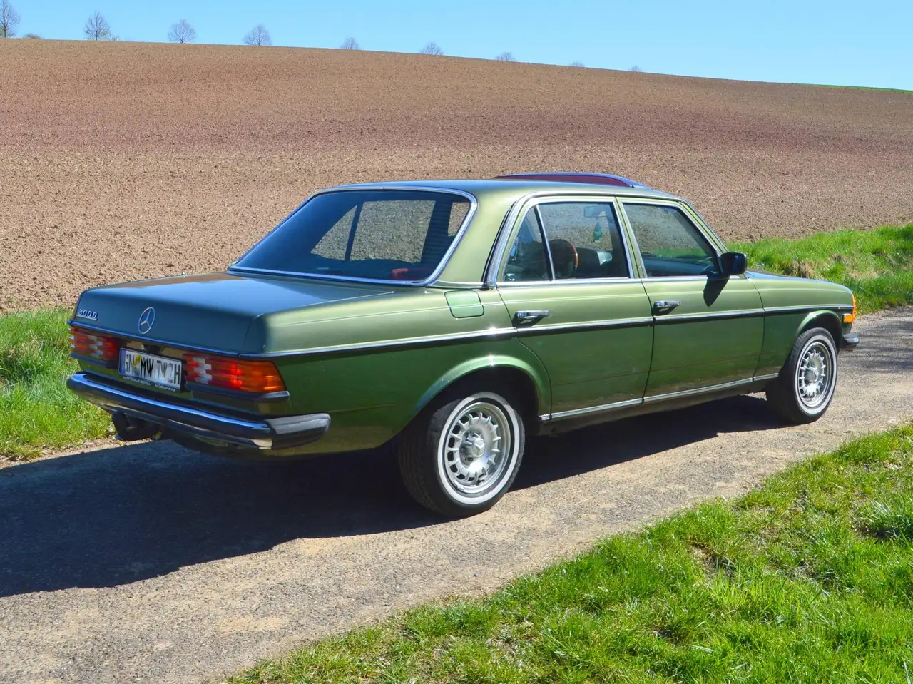 Mercedes-Benz 300 W123 300D, foto 5