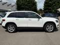 Mercedes-Benz GLB 220 d*Night-Paket+Park-Paket+Keyless Go+AHK* Bianco - thumbnail 4