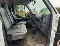 Renault Master Pritsche - Tüv 8/2026 / Sonderpreis ! Blanc - thumbnail 6