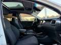 Kia Sorento 2.2 CRDi AWD Rebel 7 POSTI Blanc - thumbnail 29