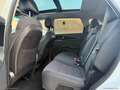 Kia Sorento 2.2 CRDi AWD Rebel 7 POSTI Blanc - thumbnail 24