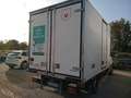 Iveco Daily 35S16 2.3hpi FRIGO FRC -20 GRADI Bianco - thumbnail 4