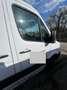 Mercedes-Benz Sprinter Weiß - thumbnail 7
