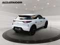 DS Automobiles DS 3 Crossback DS3 Crossback E-Tense Perf. Line + Allwetter*Navi Wit - thumbnail 7