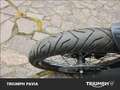 Triumph Tiger 800 XCX Abs Grigio - thumbnail 7