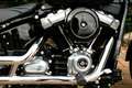 Harley-Davidson Softail FXST 107ci Milwaukee eight Zwart - thumbnail 24