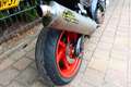 Aprilia RSV Mille TUONO 1000 LASER HOTCAM Rouge - thumbnail 19