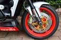 Aprilia RSV Mille TUONO 1000 LASER HOTCAM Rouge - thumbnail 16