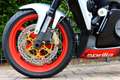 Aprilia RSV Mille TUONO 1000 LASER HOTCAM Rouge - thumbnail 23