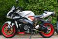 Aprilia RSV Mille TUONO 1000 LASER HOTCAM Rouge - thumbnail 4
