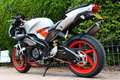 Aprilia RSV Mille TUONO 1000 LASER HOTCAM Rouge - thumbnail 5