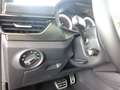 Skoda Kamiq Monte Carlo | Winter-P. | Kamera | PDC Grigio - thumbnail 7