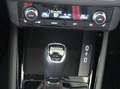 Skoda Kamiq Monte Carlo | Winter-P. | Kamera | PDC Grigio - thumbnail 10