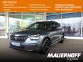 Skoda Kamiq Monte Carlo | Winter-P. | Kamera | PDC Grigio - thumbnail 1
