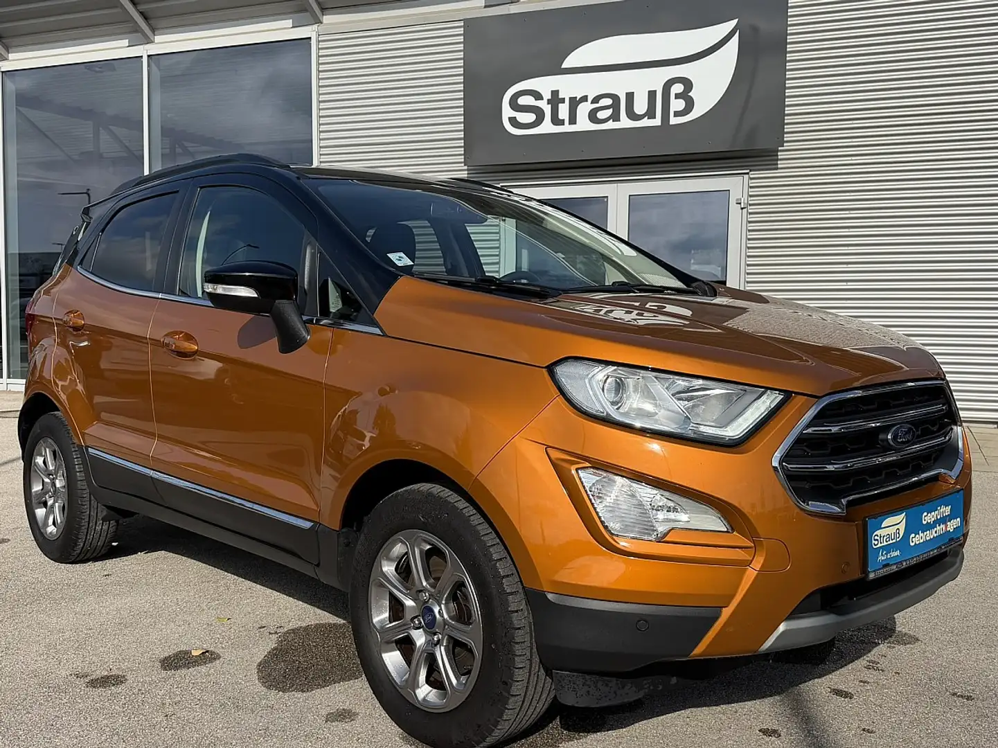 Ford EcoSport 1,0 EcoBoost Titanium Or - 1