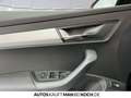 Skoda Karoq 2.0TDI DSG Select. NAVI MATRIX LICHT&SICHT Schwarz - thumbnail 13
