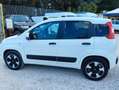 Fiat Panda Panda 1.0 hybrid Easy s Bianco - thumbnail 10