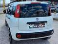 Fiat Panda Panda 1.0 hybrid Easy s Bianco - thumbnail 7