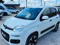 Fiat Panda Panda 1.0 hybrid Easy s Bianco - thumbnail 9