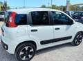 Fiat Panda Panda 1.0 hybrid Easy s Bianco - thumbnail 8