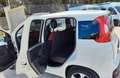 Fiat Panda Panda 1.0 hybrid Easy s Bianco - thumbnail 6