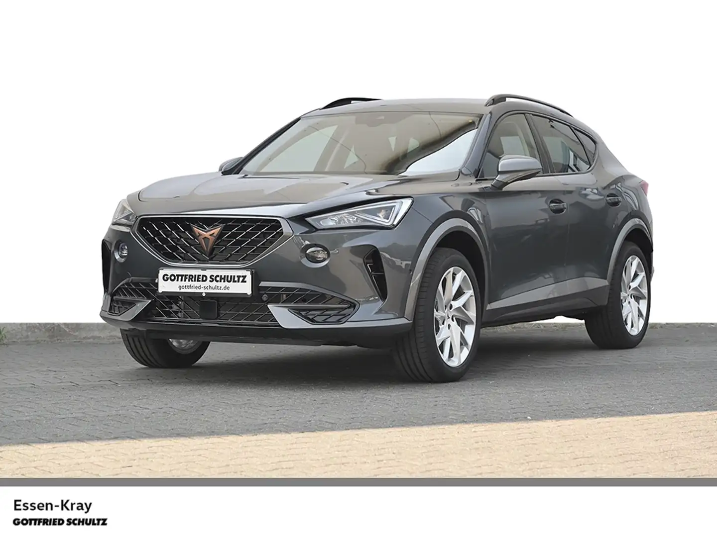 CUPRA Formentor 1.5 TSI DSG Navi Led Sitzheizung Grau - 2
