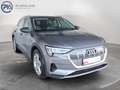 Audi e-tron 50 quattro 230 kW Business Grau - thumbnail 7
