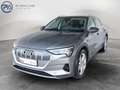 Audi e-tron 50 quattro 230 kW Business Grau - thumbnail 1