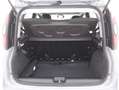 Fiat Panda Hybrid City Cross 1.0 Mild Hybrid 70CV Grau - thumbnail 14